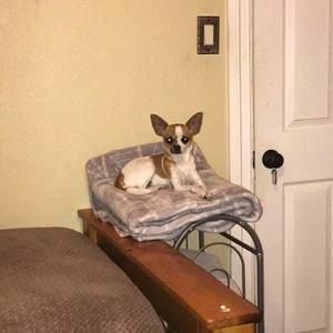 Meet your Posher, Crystal